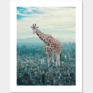 Giraffe in Town Posters and Art